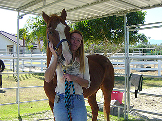 Forever Free Horse Rescue - General