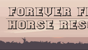Forever Free Horse Rescue